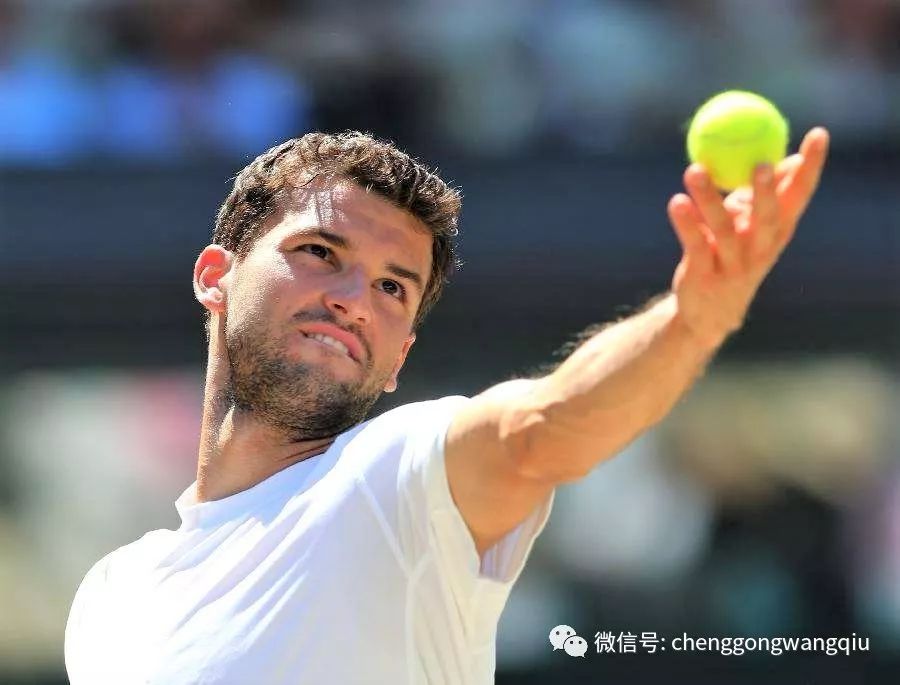 言无疑是一 言无疑是一